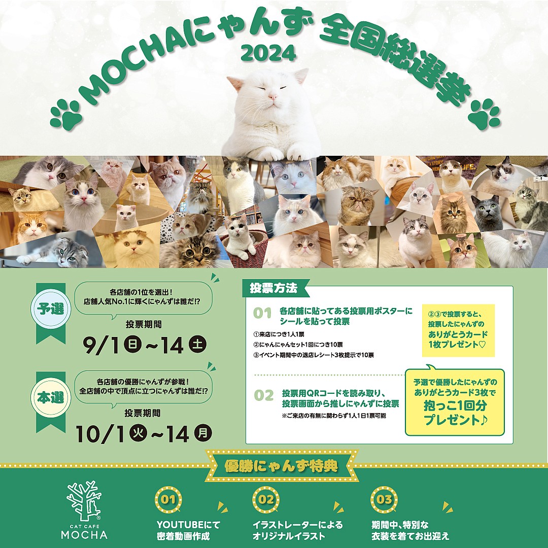 MOCHAにゃんず全国総選挙